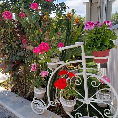 Del Sole Villa Carini